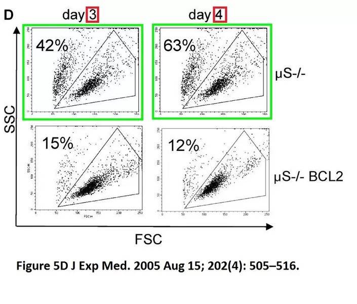 Investigadores principales del cáncer de Harvard acusados de fraude científico y hay 37 estudios afectados