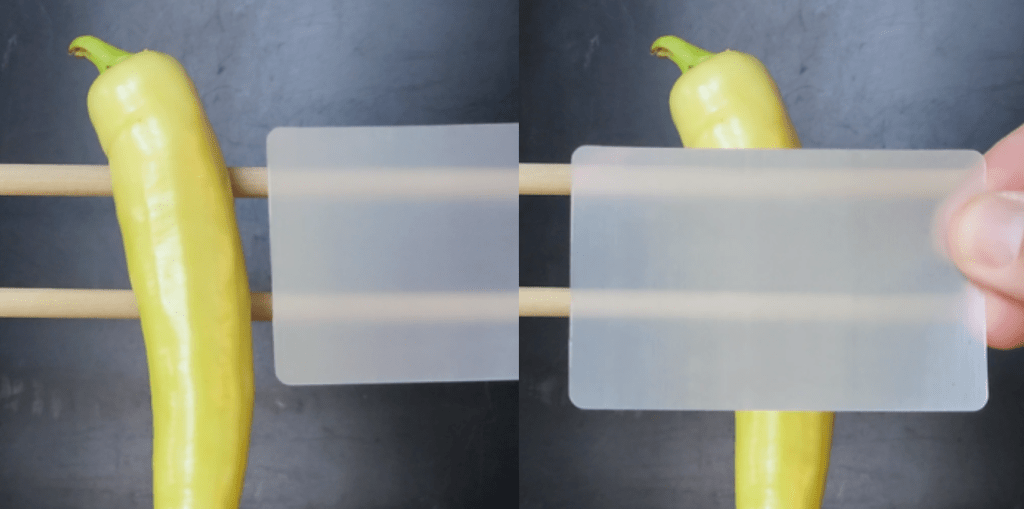 DESCUBRE cómo funciona el ESCUDO DE INVISIBILIDAD que está VIRALIZANDO en las Redes 1 -