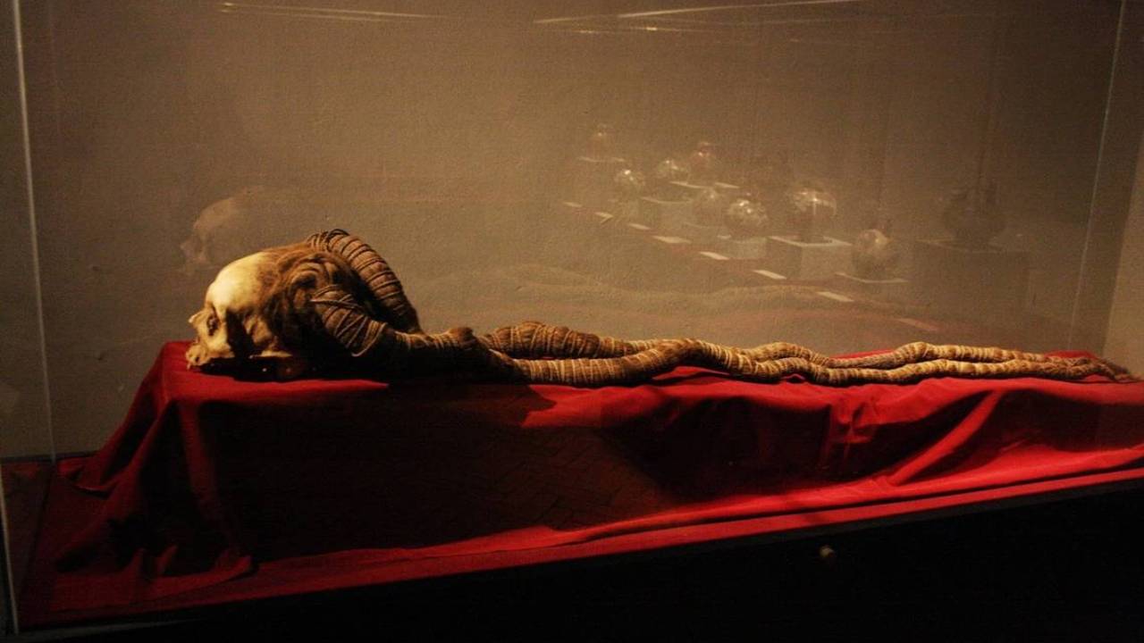 Caballera de más de dos metros y 2000 años intacta y adherida a un cráneo de una sacerdotisa de Nazca