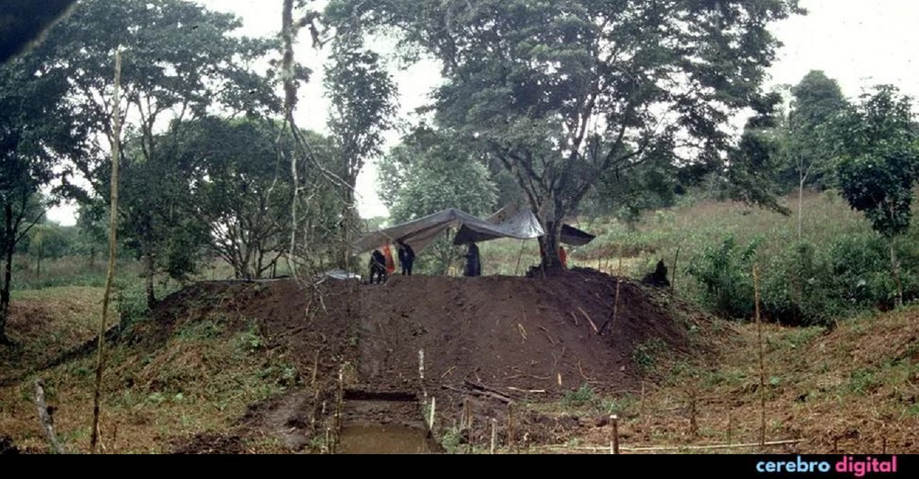 Enorme antigua ciudad perdida encontrada en el Amazonas 1 -