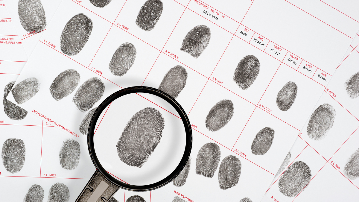 Análisis con IA revela que las huellas dactilares no son tan únicas como pensábamos 1 huellas dactilares - huellas dactilares