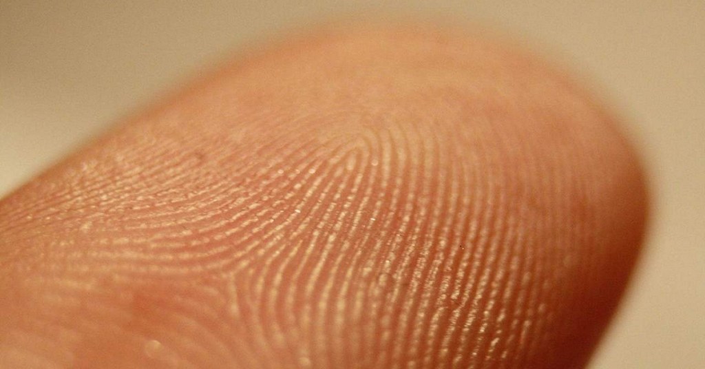 Análisis con IA revela que las huellas dactilares no son tan únicas como pensábamos 2 huellas dactilares - huellas dactilares