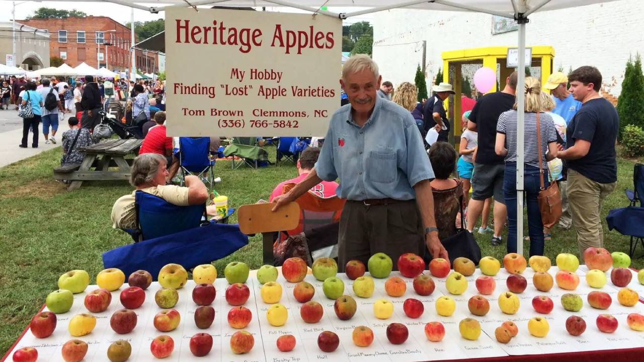 Un ingeniero químico jubilado salvó de la extinción más de 1,200 variedades de manzanas perdidas 1 Un ingeniero químico jubilado salvó de la extinción más de 1,200 variedades de manzanas perdidas