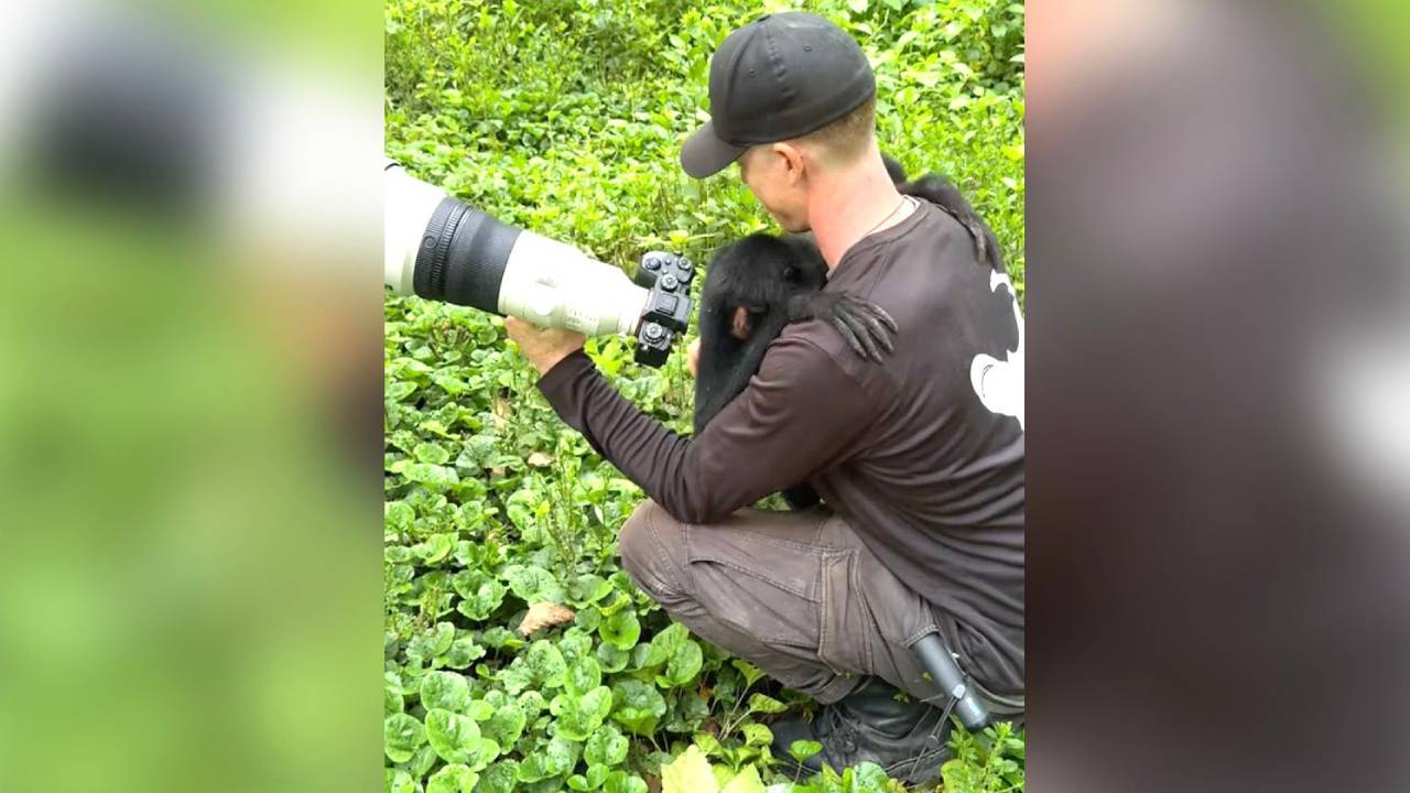 Un mono fue usado como comercio ilegal agradece sinceramente a su rescatista 1 Un mono fue usado como comercio ilegal agrade sinceramente a su rescatista