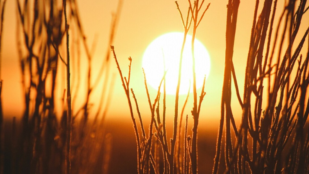 El Mundo pudo haber superado los 1,5°C establecidos de Calentamiento Global 2 El Mundo pudo haber superado los 1,5°C establecidos de Calentamiento Global