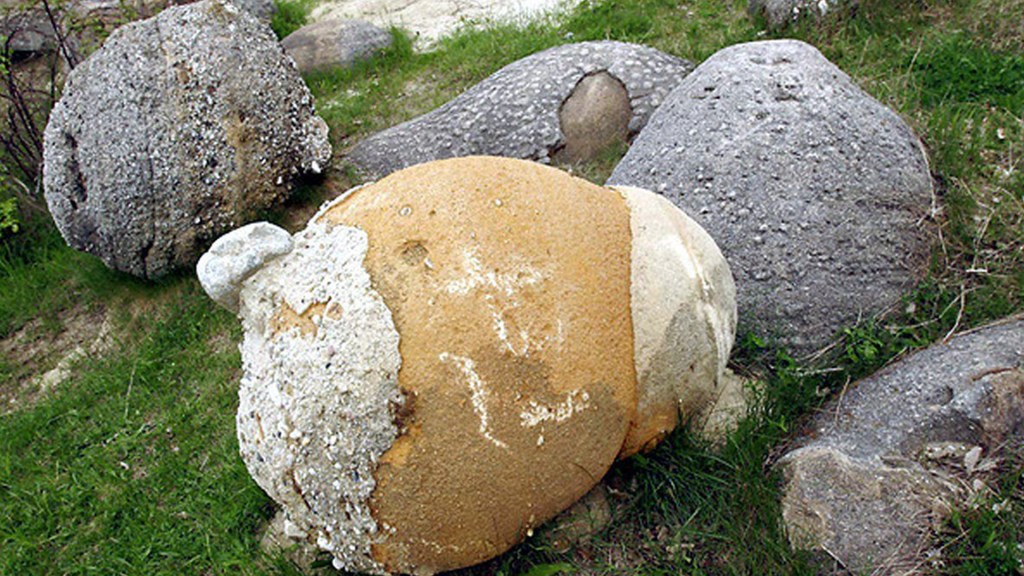 El misterio de las piedras vivas: rocas que se crecen, se reproducen y se mueven