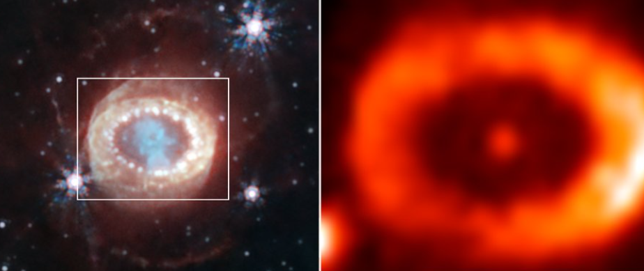 ¡El Telescopio Webb descubre el Santo Grial en una supernova! 1 Telescopio Webb descubre el Santo Grial en una supernova