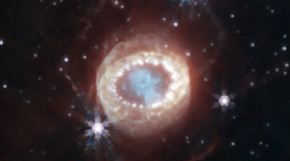 ¡El Telescopio Webb descubre el Santo Grial en una supernova! 2 Telescopio Webb descubre el Santo Grial