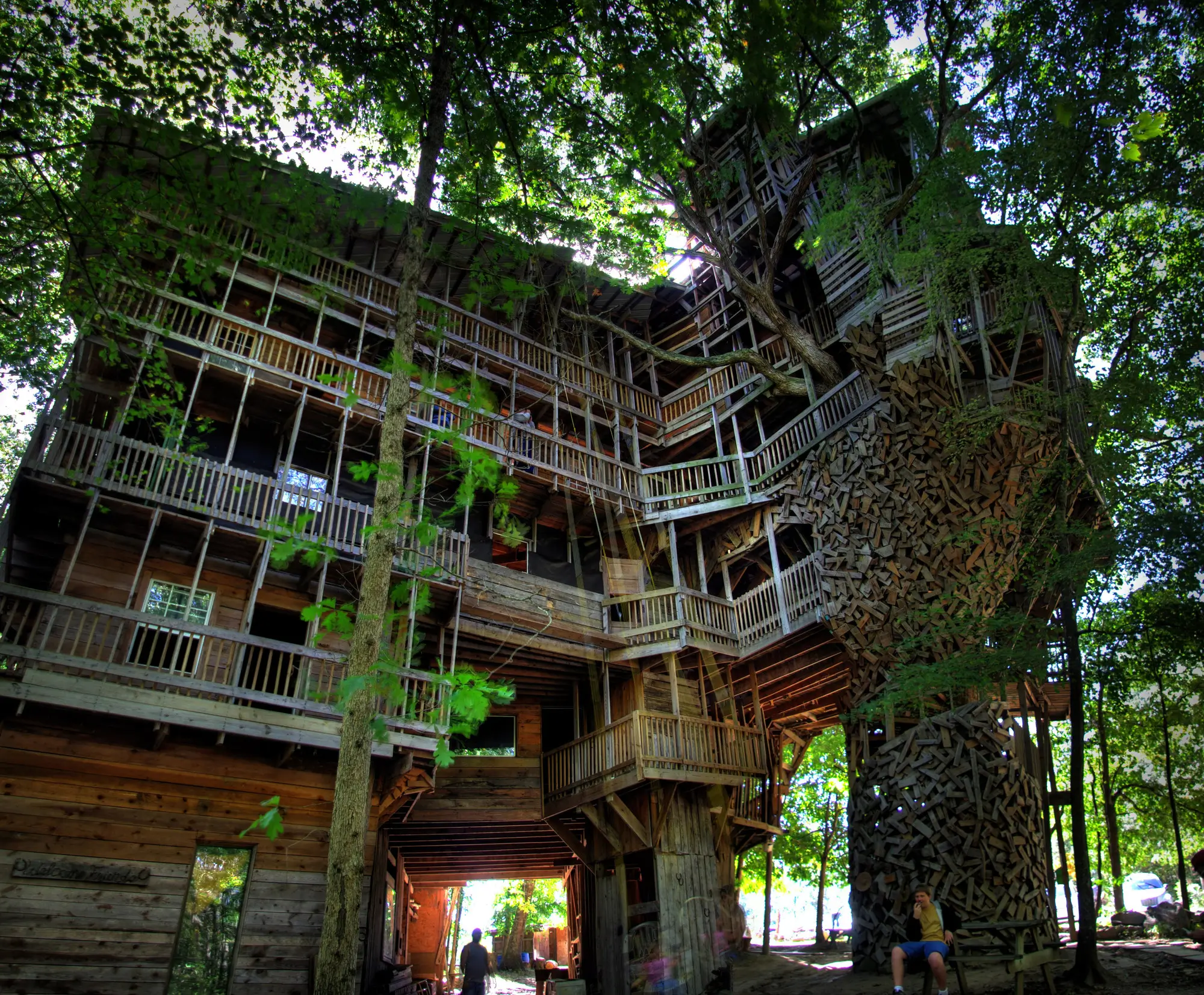 casa en el árbol más grande