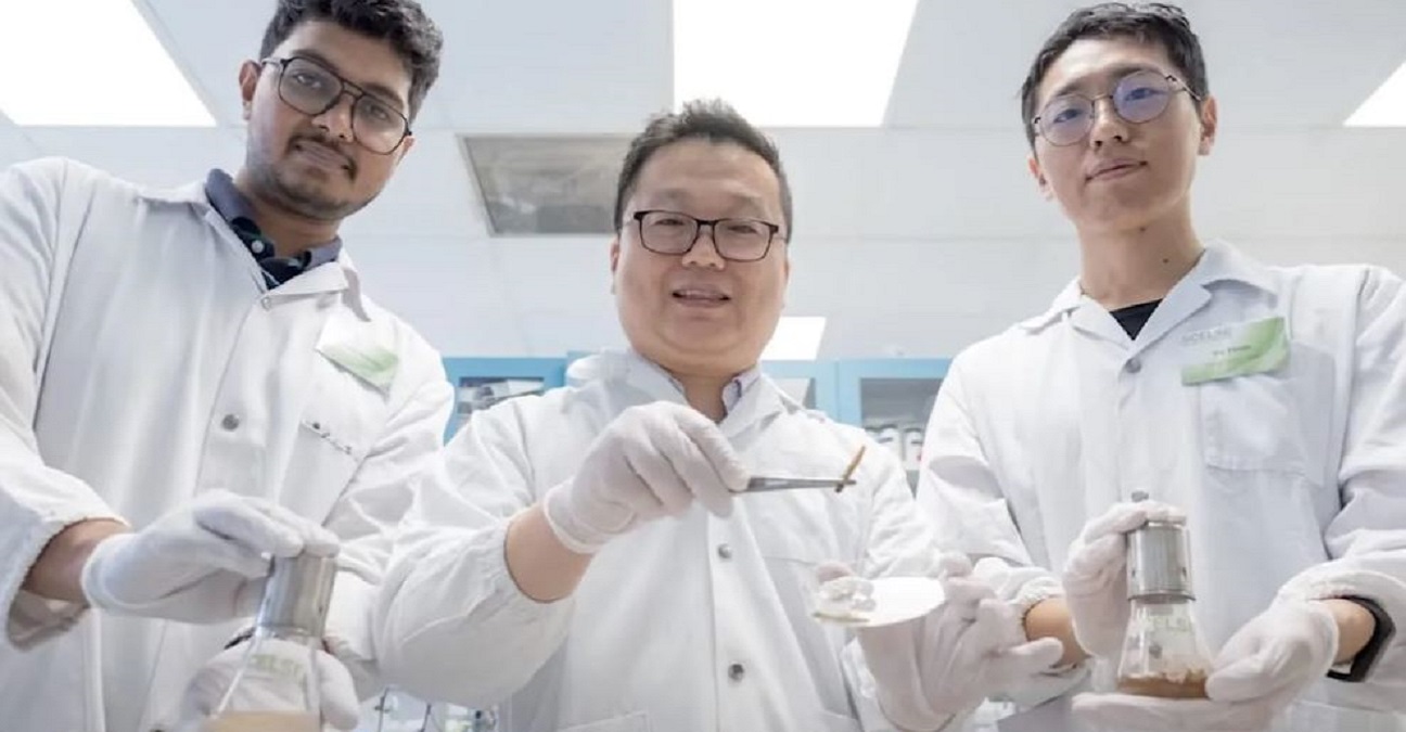 Los científicos crean intestinos de gusanos artificiales que descomponen el plástico 1 -