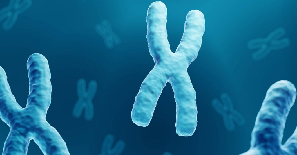 Estudio revela por qué las mujeres son más propensas a padecer enfermedades autoinmunes 2 cromosomas-x