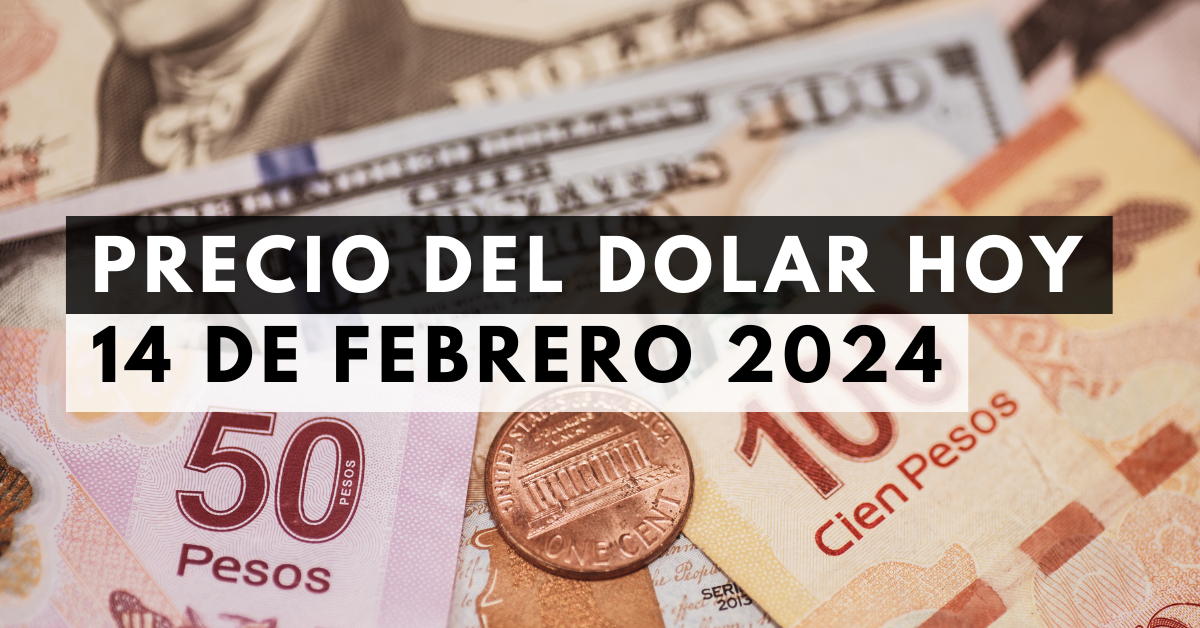 Precio del dólar: Tipo de cambio hoy 14 de febrero de 2024 1 Precio del dólar: Tipo de cambio hoy 14 de febrero de 2024