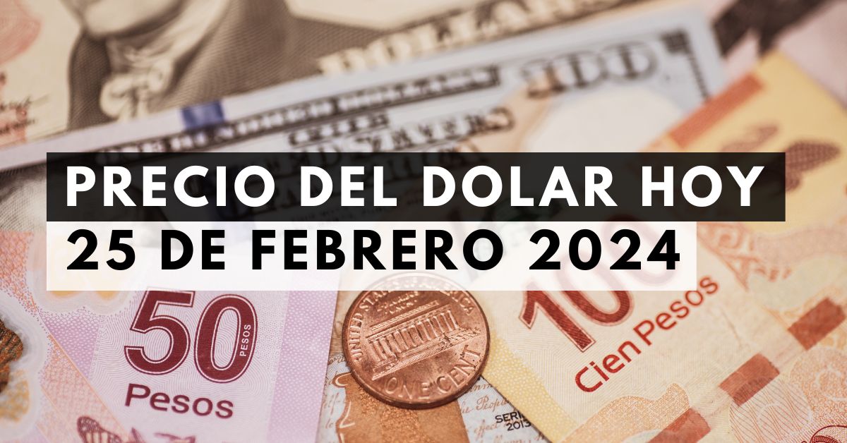Precio del dólar: Tipo de cambio hoy 25 de febrero de 2024