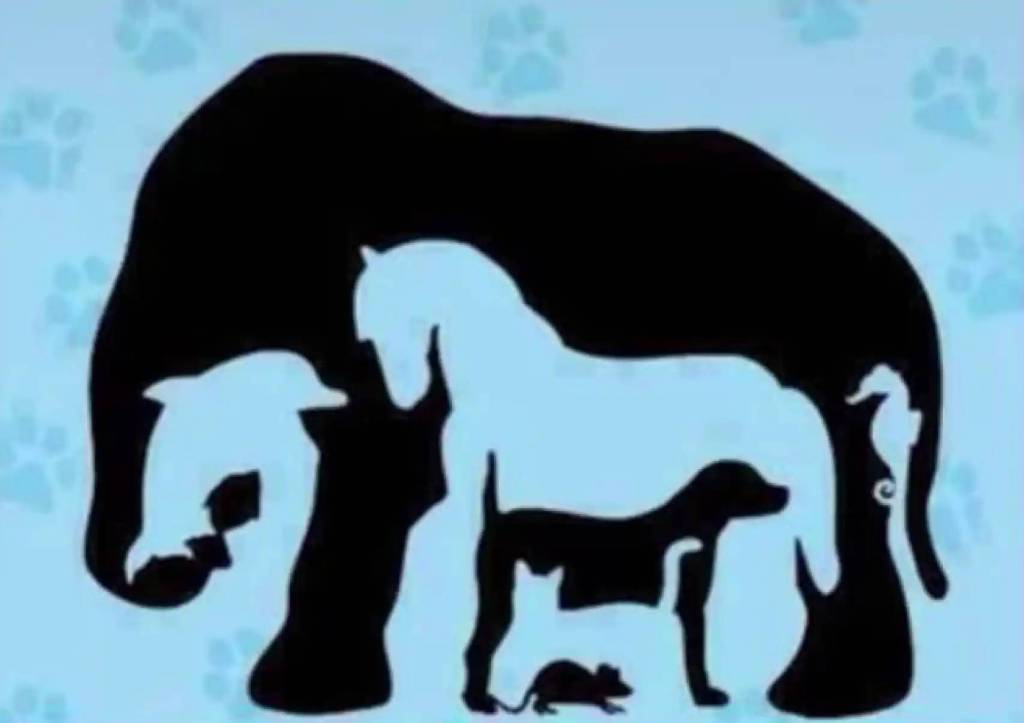 ¿Cuántos animales ves en la imagen? Reto visual 2 ¿Cuántos animales ves en la imagen? Reto visual