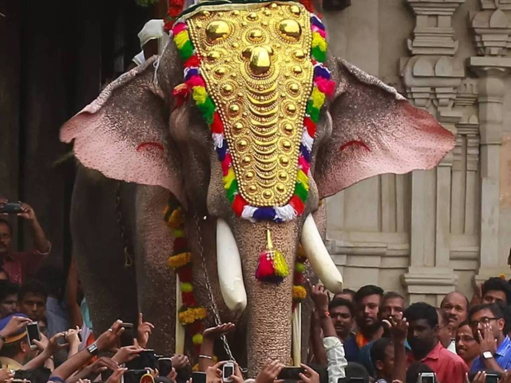 Thechikottukavu Ramachandran: El elefante gigante y asesino de la India