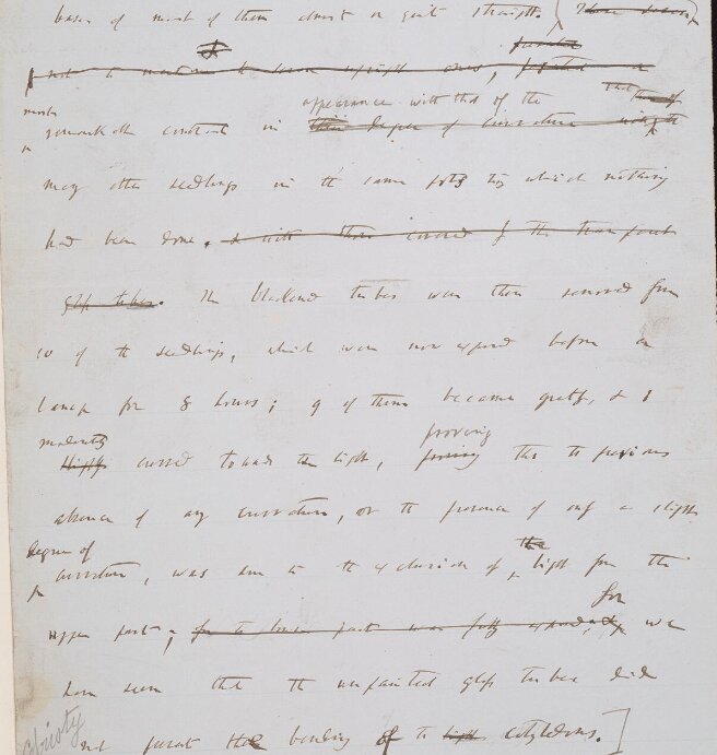 Charles Darwin: Aquí puedes descargar todos sus manuscritos totalmente gratis