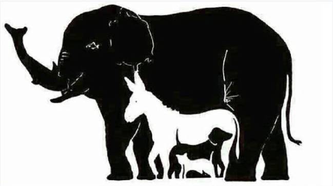 ¿Cuántos animales ves en la imagen? Reto visual 4 ¿Cuántos animales ves en la imagen? Reto visual