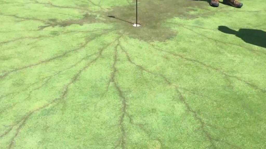 Las figuras de Lichtenberg: Lo que le sucede a tu cuerpo si te cae un rayo