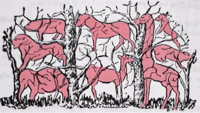 ¿Cuántos animales ves en la imagen? Reto visual 7 ¿Cuántos animales ves en la imagen? Reto visual