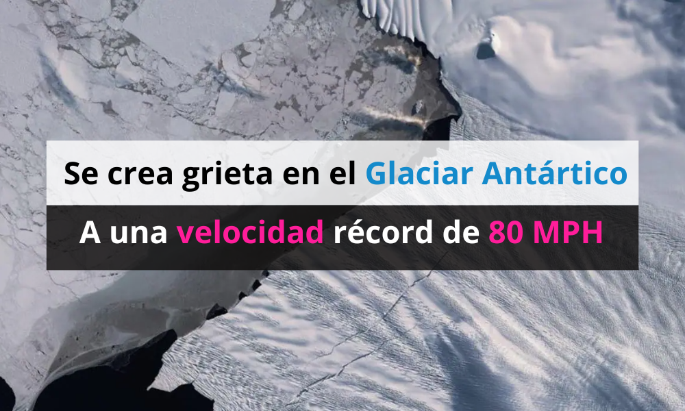 La grieta del Glaciar Antártico rompe récord y alcanza las 80 MPH
