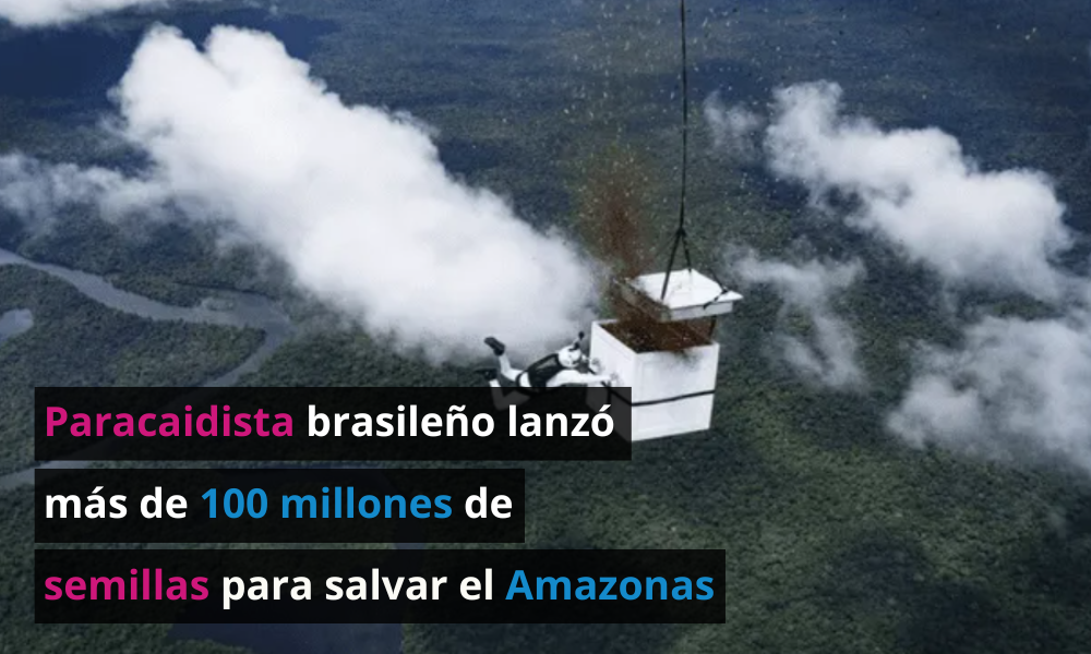 Paracaidista brasileño lanzó más de 100 millones de semillas en el Amazonas para salvar el bosque