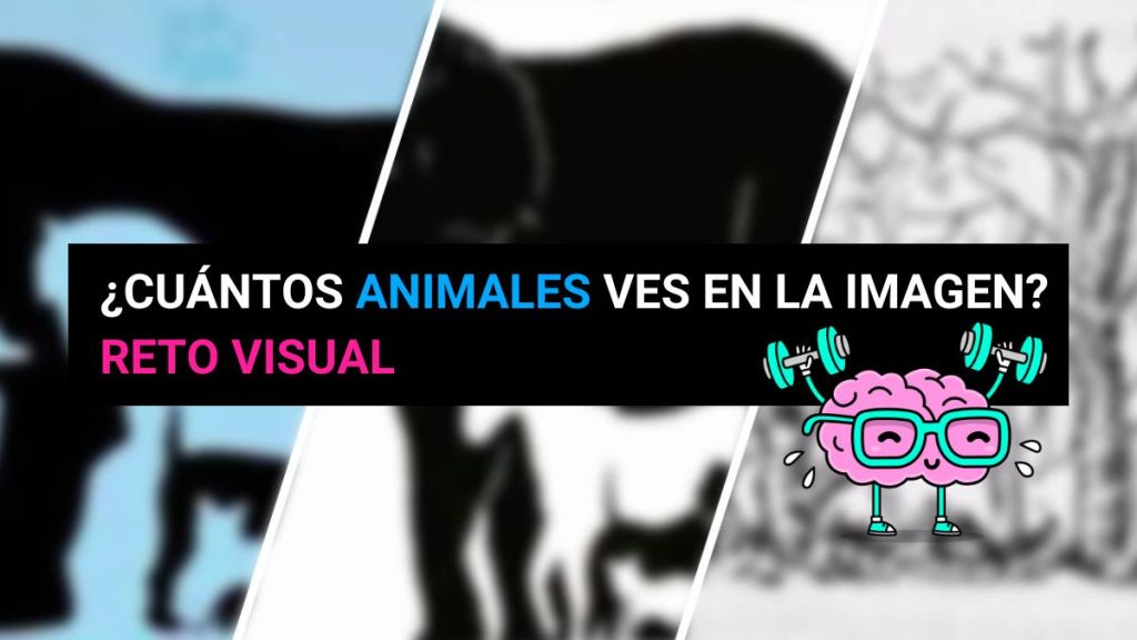 ¿Cuántos animales ves en la imagen? Reto visual