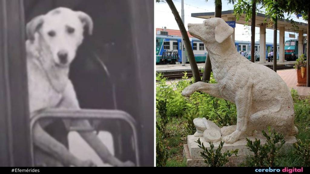 Lampo: The Dog Who Learned to Travel by Train and Crossed All of Italy