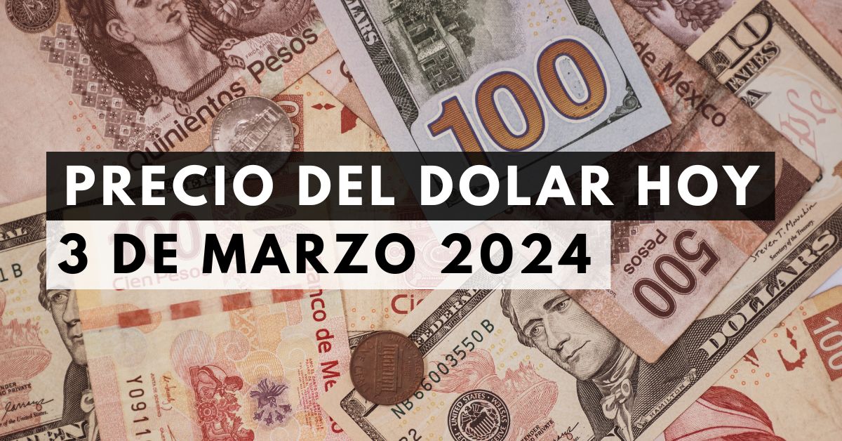 Precio del dólar: Tipo de cambio hoy 3 de marzo de 2024
