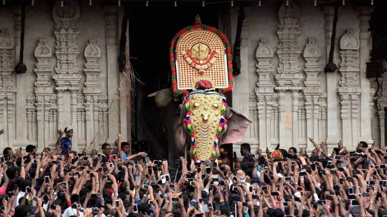 Thechikottukavu Ramachandran: El elefante gigante y asesino de la India