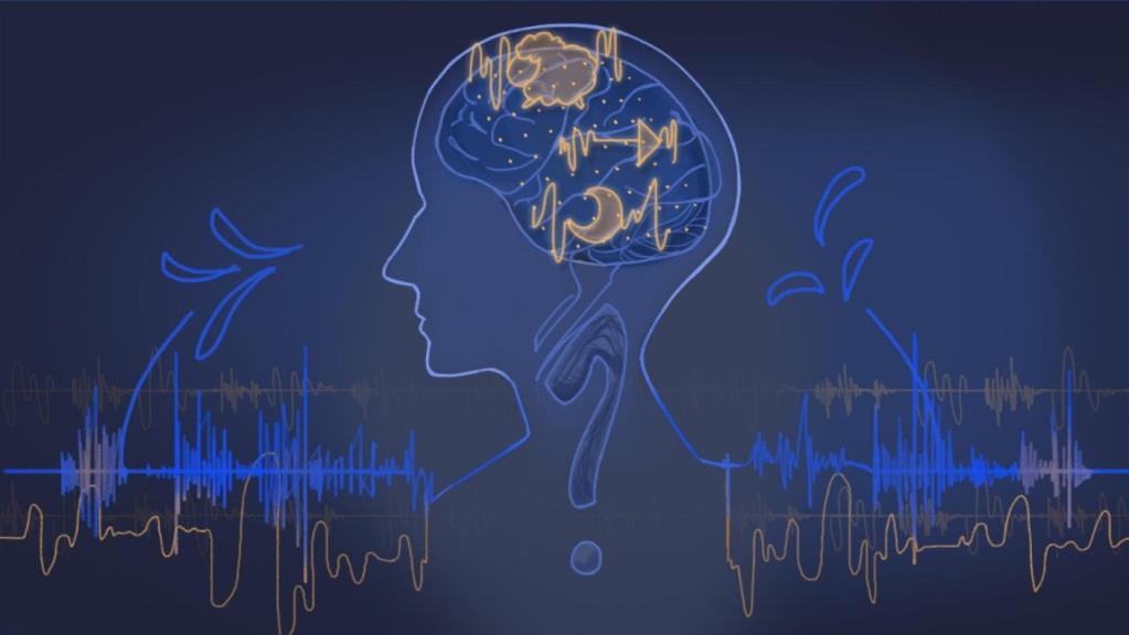 Nueva investigación podría devolver el habla perdida a través de la decodificación neuronal 2 Nueva investigación podría devolver el habla perdida a través de la decodificación neuronal