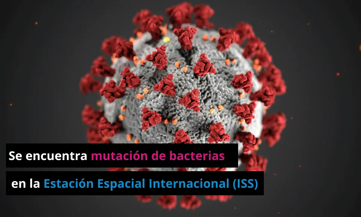 Se descubre mutación de bacterias en la Estación Espacial Internacional