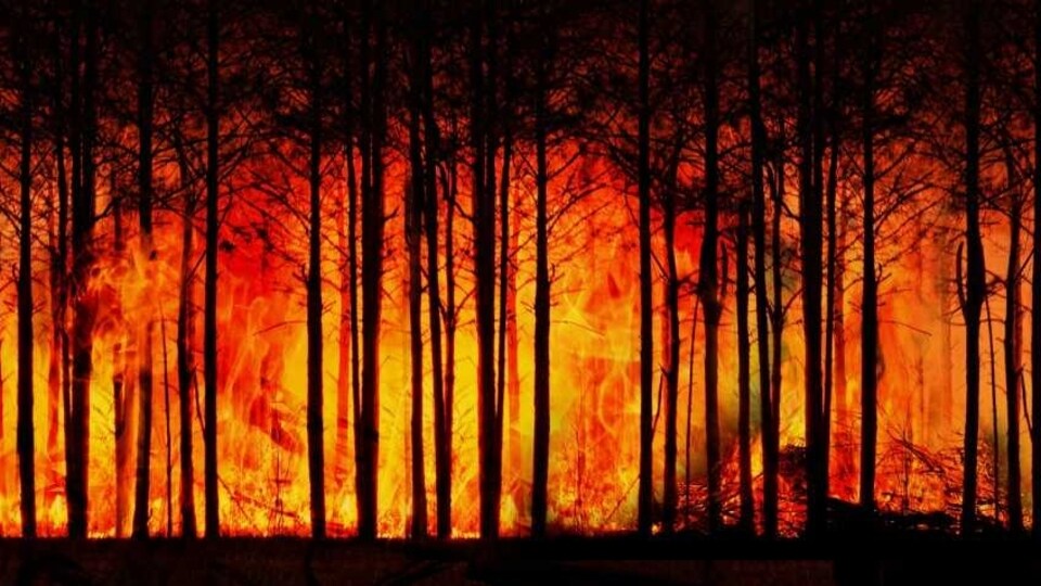 si el evento carrington fuera hoy