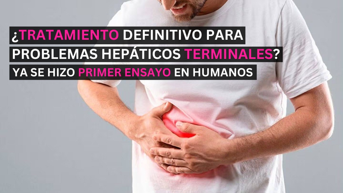 posible solucion a problemas hepaticos conviertiendo ganglios linfaticos en hígados