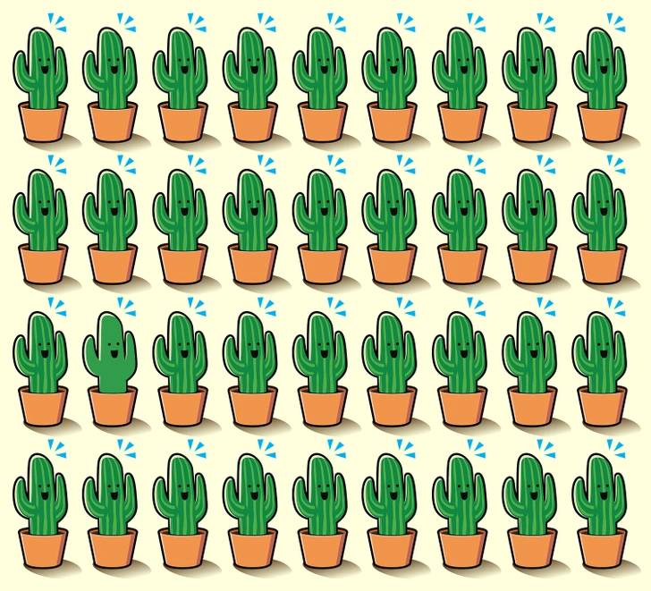 Desafío: 12 Juegos mentales que pondrán a prueba tú cerebro