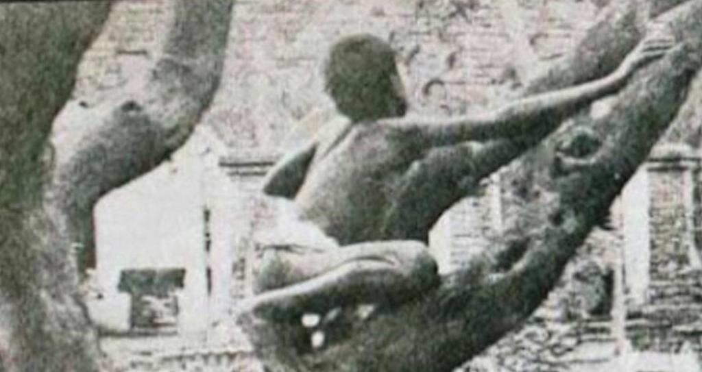 Dina Sanichar: La historia del “Mowgli” de la vida real que fue criado por animales salvajes 4 Dina Sanichar: La historia del “Mowgli” de la vida real que fue criado por animales salvajes