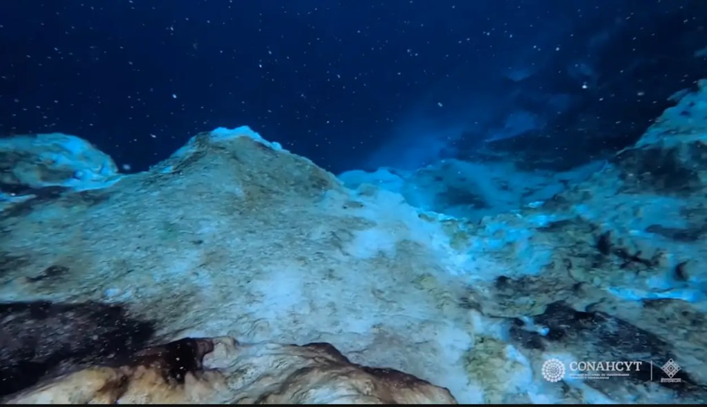 Descubre el Misterio del Agujero Sin Fondo Cerca del Cráter que Acabó con los Dinosaurios 4 El Blue Hole más Profundo del Mundo