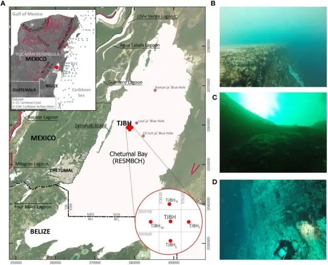 Descubre el Misterio del Agujero Sin Fondo Cerca del Cráter que Acabó con los Dinosaurios 2 estudios de Blue Hole de Taam Ja'