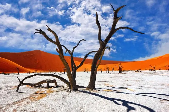 Deadvlei, Namibia