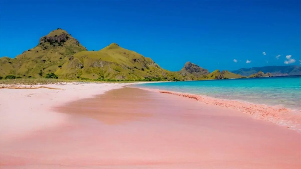 Playas Rosadas en Australia: Un Misterio Relacionado con la Antártida 1 aparecen Playas Rosadas en Australia