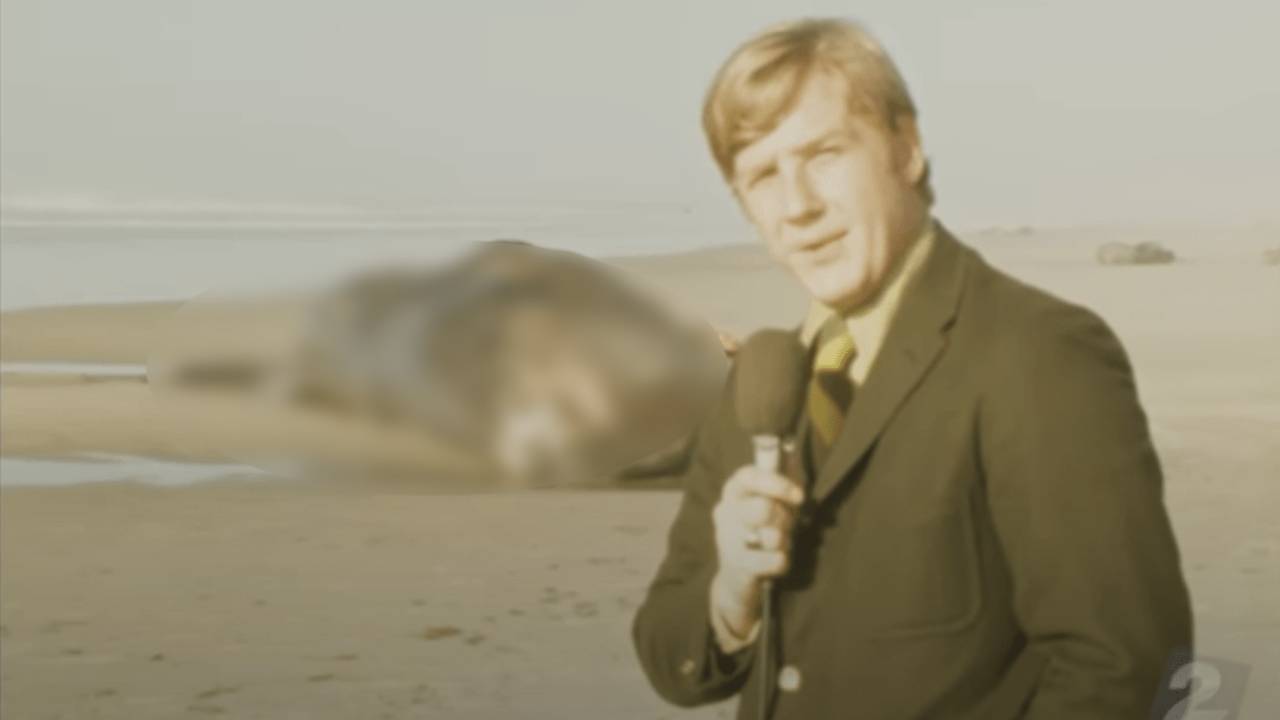 en Oregón explotaron una ballena de 8 toneladas con dinamita