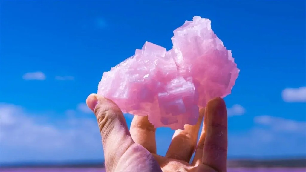 Playas Rosadas en Australia: Un Misterio Relacionado con la Antártida 2 granate