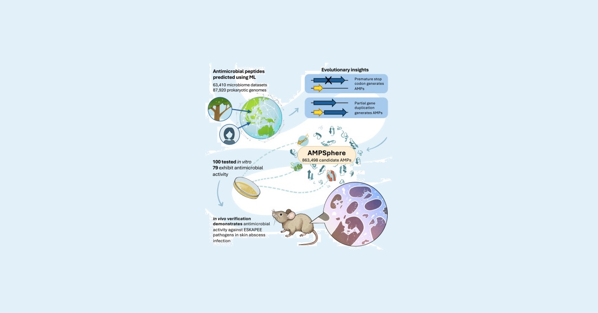 La IA predice la posibilidad de crear nuevos antibióticos 2 metodo de estudio para nuevos antibioticos