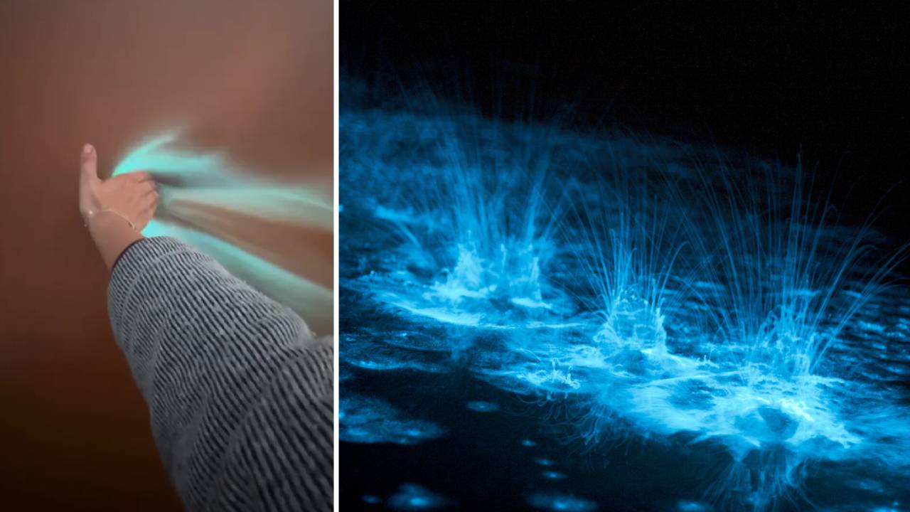 Espectacular fenómeno bioluminiscente en Lillesand, Noruega 1 Espectacular fenómeno bioluminiscente en Lillesand, Noruega