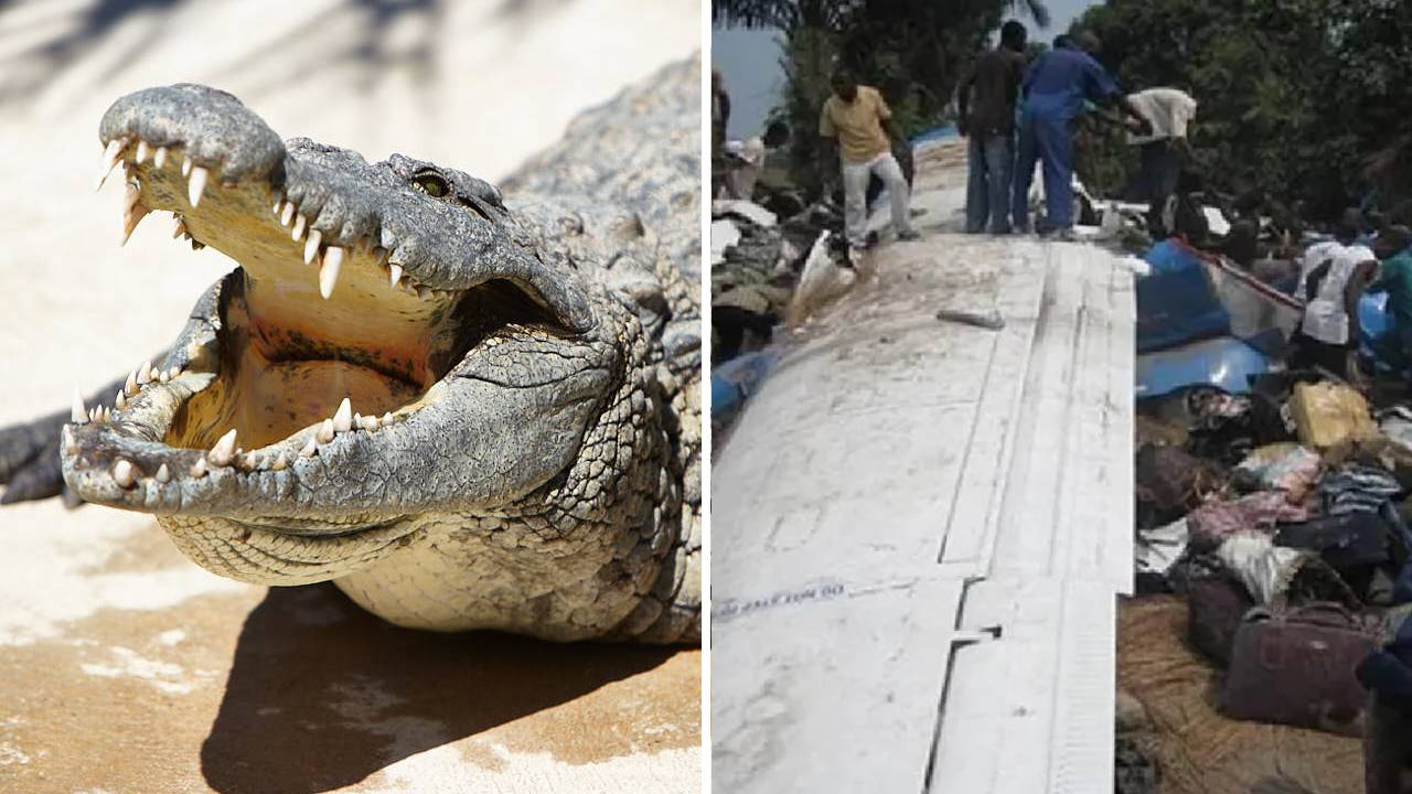 El avión que se estrelló cuando los pasajeros entraron en pánico al ver un cocodrilo a bordo