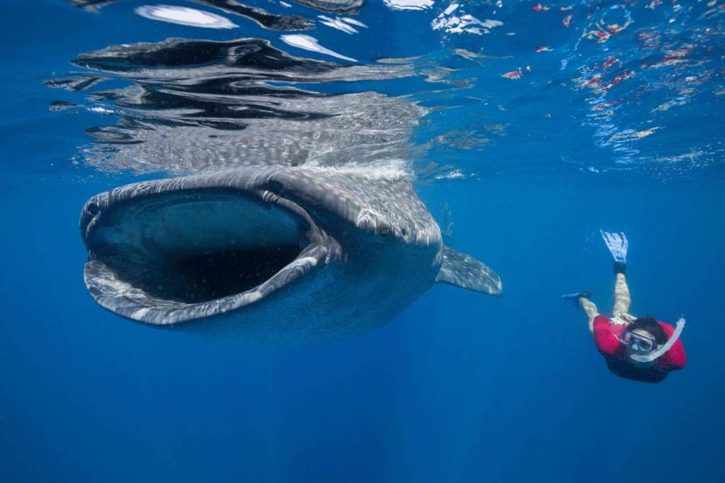 Estudio sugiere que el agua habitable de la Tierra se agota rápidamente y es muy peligroso 1 Estudio sugiere que el agua habitable de la Tierra se agota rápidamente y es muy peligroso