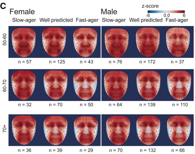 Patrones de calor de tú rostro podrían dar pistas sobre tú salud