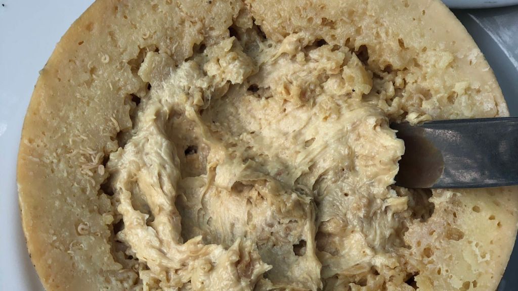 Casu Marzu: El Queso Más Peligroso del Mundo