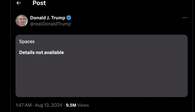 Elon Musk anuncia que X está bajo un ataque DDOS masivo