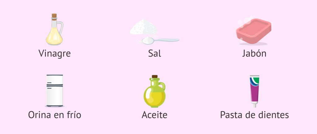 Prueba de embarazo casera: ¿puedes confiar en los resultados? 2 Prueba de embarazo casera: ¿puedes confiar en los resultados?
