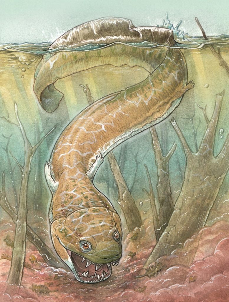 Descubren una criatura gigante de pantano que es anterior a los dinosaurios